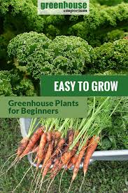 42 Easy To Grow Greenhouse Plants For
