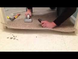 install a carpet transition trim piece