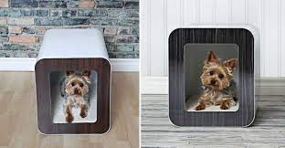 Comfortable Dog House Designs Indoor