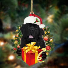 newfoundland dogs give gifts hanging