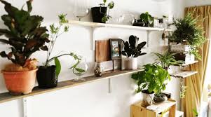 Kitchen pot rack this oversized pot rack is created to resemble a vintage ladder, yet is made with new pinewood materials to support the load of your plants in your. 15 Diy Plant Stands Shelves To Showcase Your Indoor Garden