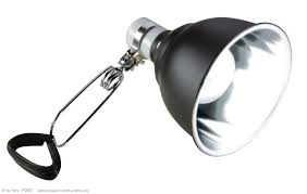 Exo Terra Light Dome Aluminum Uv Reflector Lamp