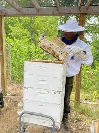 top 10 best gifts for beekeepers sunvara
