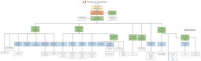 Organizational Chart Facilities And Operations Facilities