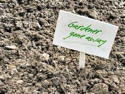 amend clay soil for vegetable gardening
