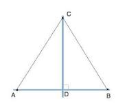 Image result for Line segment CD is not perpendicular to line segment EF. How would you show that they are not parallel?