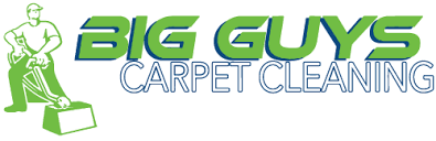 carpet cleaning rug cleaning and