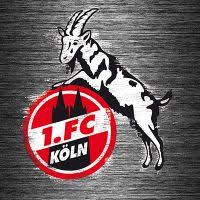 V., commonly known as simply fc köln or fc cologne in english (german pronunciation: Handyhullen Und Mehr Bei Deindesign