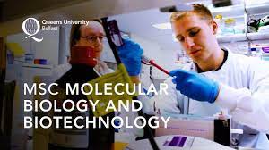 molecular biology and biotechnology