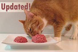 Because cats with moderate to severe kidney disease may become picky eaters, a homemade diet may be the best option for your kitty. Feline Nutrition S Easy Homemade Cat Food Recipe