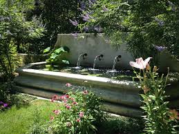 Water Garden Design Planning