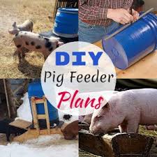 19 homemade diy pig feeder plans