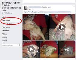 The #1 place to promote your bullies! Puppies Don T Belong On Craigslist Or Facebook Whole Dog Journal