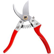 Buy Natures Plus Pruning Shears For