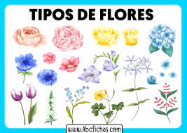 Una forma sencilla y rapida de hacer un dibujo de flores en poco tiempo y de forma facil.web oficial del canal: Tipos De Flores Para Dibujar Abc Fichas