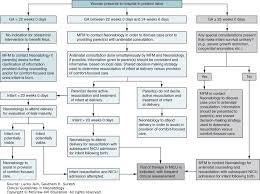 Fetal Management At The Limit Of Viability Clinical