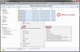 backup manually extract files from in