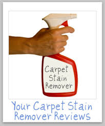 carpet stain remover reviews which