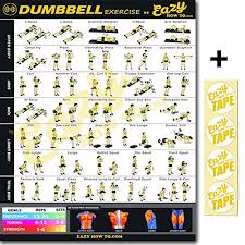 Dumbbell Exercise Workout Banner Poster Big 51 X 73cm Train Endurance Tone Build Strength Muscle Home Gym Chart Banner Original