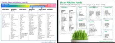 The Acid Alkaline Food Chart