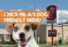 can-dogs-have-chick-fil-a-ice-cream