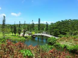 Southeast Botanical Gardens Okinawa