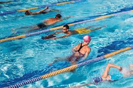 how to circle swim swimoutlet com
