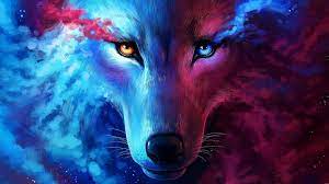 Cool wolf pic