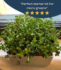 Organic Microgreens Growing Kit