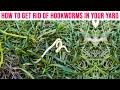 your yard soil treatment for hookworm