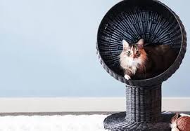 Modern Cat Furniture Designer