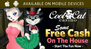 It is one of nine online casinos that are owned by wisol international. 100 No Deposit Bonus Cool Cat Casino Nabble Casino Bingo