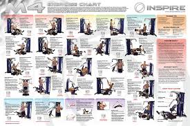 Multi Gym Exercise Chart Pdf Sport1stfuture Org