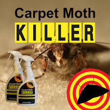 carpet moth 500ml kills carpet
