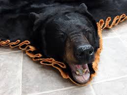 brand new real black bear skin rug