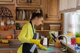 rolling meadows cleaning services