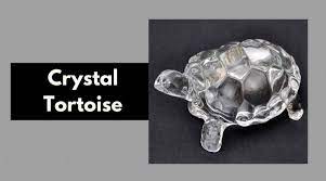 Crystal Tortoise Whats Its Relevance