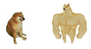 We've seen examples that cover everything from gamers and bronies to the police brutality issues that protesters are fighting. Swole Doge Vs Cheems Flipped Blank Template Imgflip