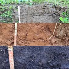 Defining Soil Profiles Munsell Color System Color