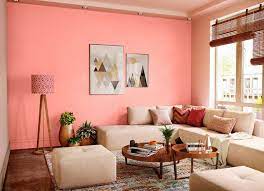 Try Jaipur Dreams House Paint Colour
