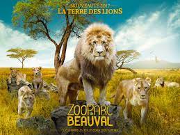 Venez découvrir la magie du Zoo de Beauval et laissez vous transporter au  coeur du monde animal - Royal Connection