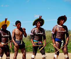 アマゾンの先住民族 | 特定非営利活動法人 熱帯森林保護団体(RFJ)