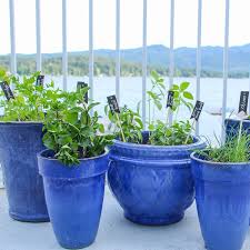 easy diy kitchen herb garden in deck