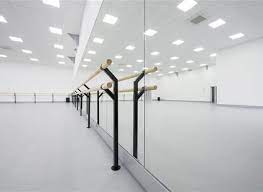 professional floor mounted ballet