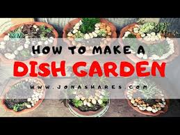 Diy Dish Garden How To Make A Dish