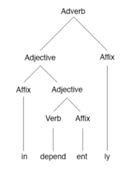 Morphology Linguistics Wikipedia