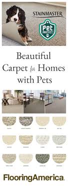 the best pet friendly carpet choice