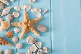17 ideas of beach wall decor and other