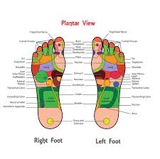 Foot Reflexology Not Just A Foot Massage Osmosis Day Spa