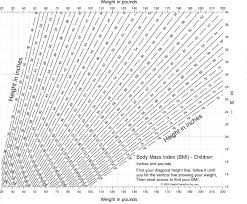 Chart Of Body Mass Index Bmi For Children